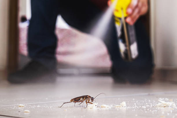 Best Pest Prevention Services  in Paducah, TX